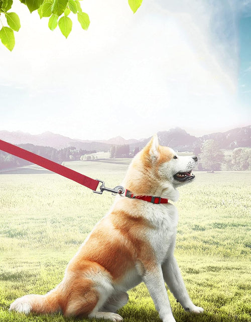 Load image into Gallery viewer, 15Ft 20Ft 30Ft 40Ft 50Ft Long Dog/Puppy Lead Obedience Recall Training Dog Leashes for Small Medium Dogs Camping, Training, Play, or Backyard (15 FT, Red)
