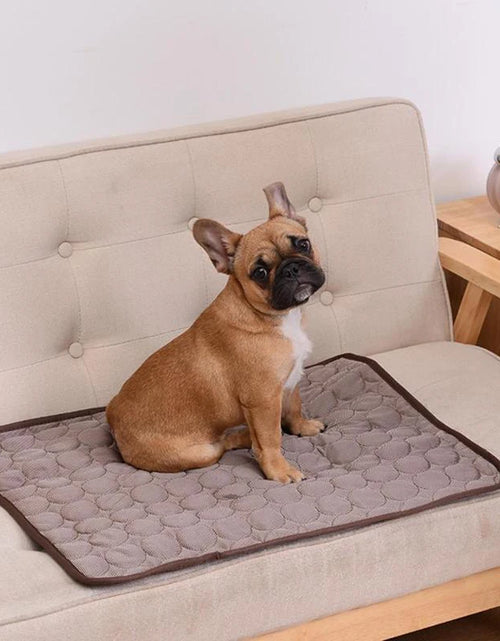 Load image into Gallery viewer, Dog Cooling Mat Extra Large Summer Pet Cold Bed for Small Big Dogs Cat Durable Blanket Sofa Cat Ice Pad Blanket Pet Accessories
