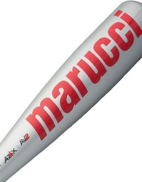 Load image into Gallery viewer, CAT7 Silver USSSA Senior League Baseball Bat
