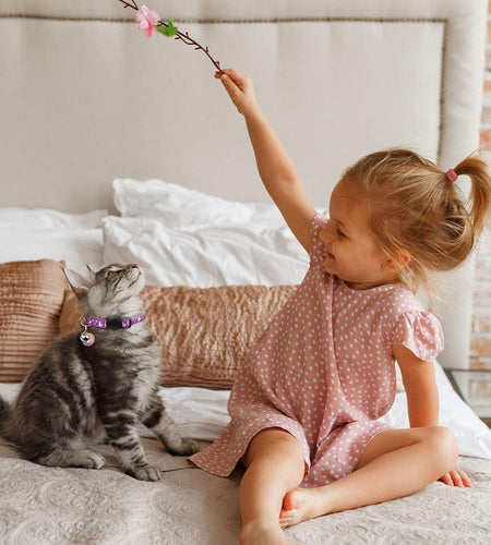 2PCS Breakaway Cat Collars with Bell Moons Stars Cute Kitty Adjustable Safe Kitten Collars with Pendant Glow in the Dark(Purple&Pink)