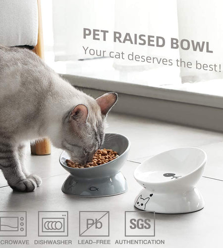 Raised Cat Bowl for Dry Wet Cat Food, Ceramic Elevated Pet Bowl Cat Dish, Protect Cat'S Spine, Stress Free, Slanted Design for Cat Easy Eating, Dishwasher Safe